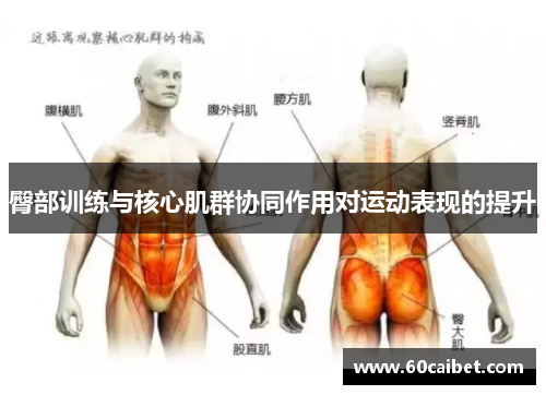 臀部训练与核心肌群协同作用对运动表现的提升
